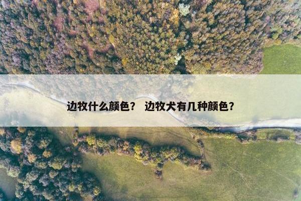 边牧什么颜色？ 边牧犬有几种颜色？