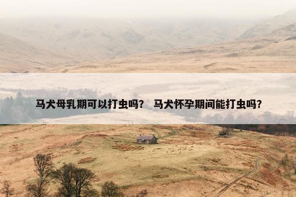 马犬母乳期可以打虫吗？ 马犬怀孕期间能打虫吗？