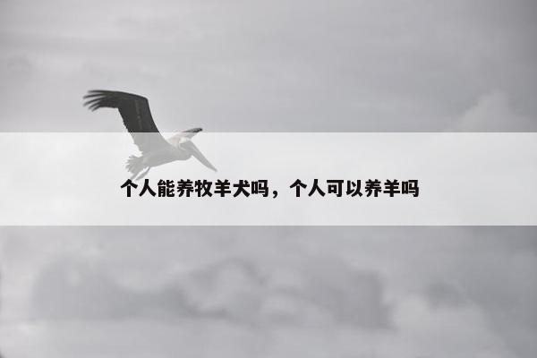 个人能养牧羊犬吗，个人可以养羊吗