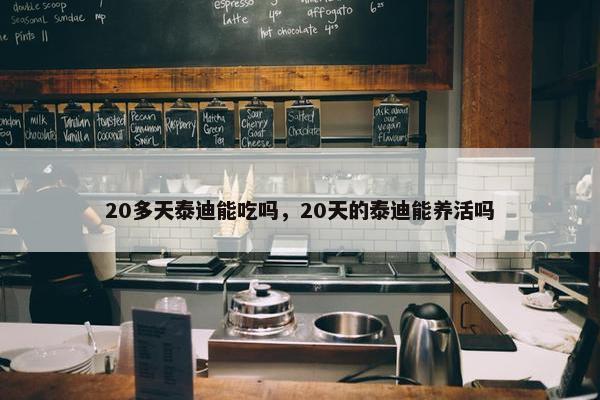 20多天泰迪能吃吗，20天的泰迪能养活吗