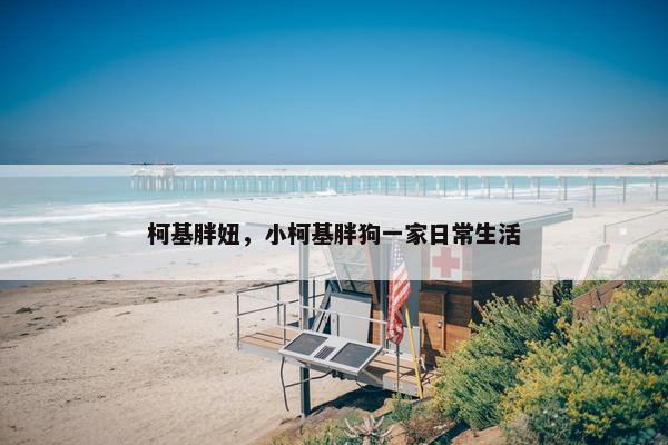 柯基胖妞，小柯基胖狗一家日常生活