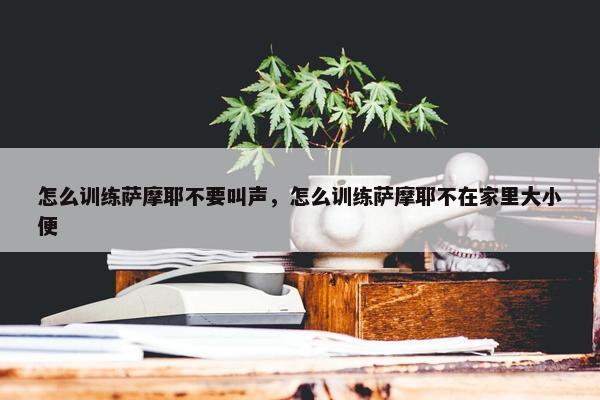 怎么训练萨摩耶不要叫声，怎么训练萨摩耶不在家里大小便