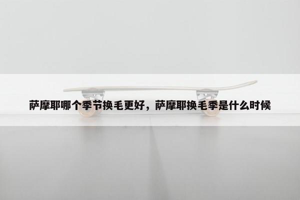 萨摩耶哪个季节换毛更好，萨摩耶换毛季是什么时候