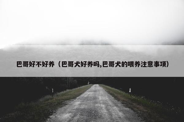 巴哥好不好养（巴哥犬好养吗,巴哥犬的喂养注意事项）