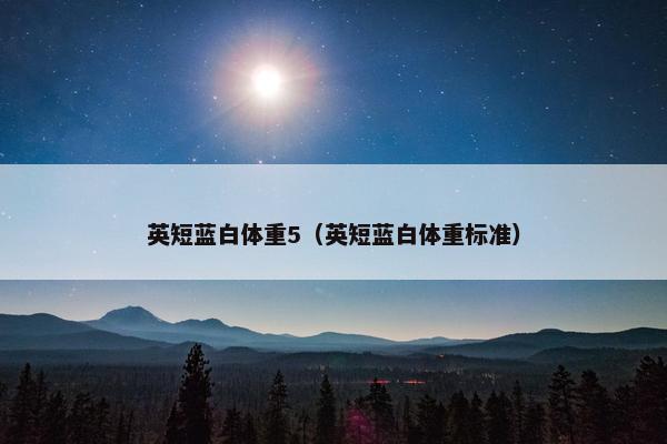 英短蓝白体重5(英短蓝白体重标准)