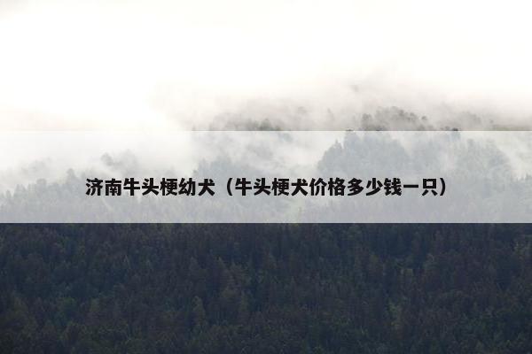济南市