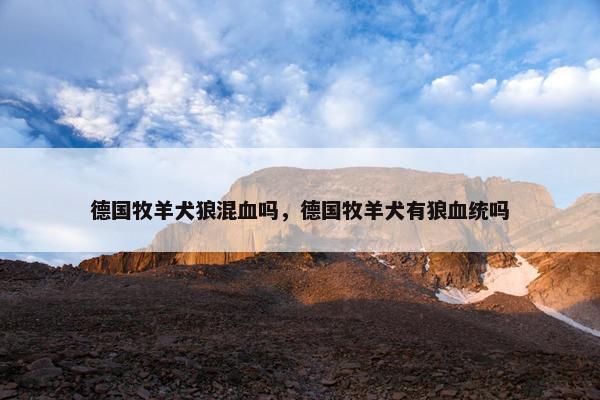 德国牧羊犬狼混血吗,德国牧羊犬有狼血统吗