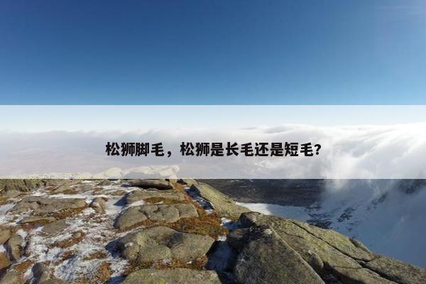 松狮脚毛，松狮是长毛还是短毛?