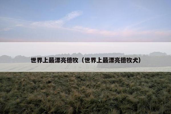 德牧 第6页