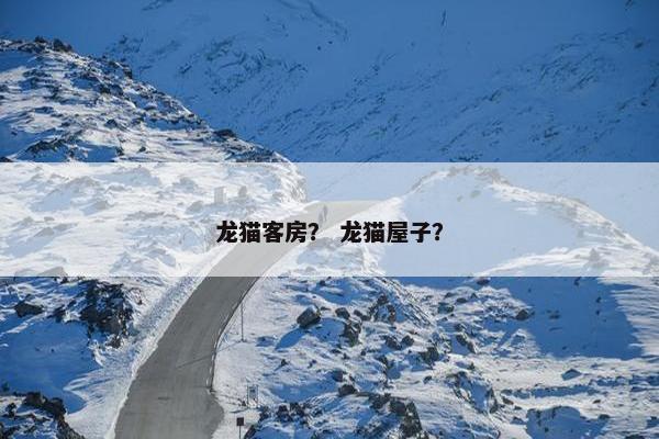龙猫客房？ 龙猫屋子？