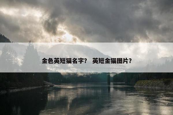 金色英短猫名字？ 英短金猫图片？