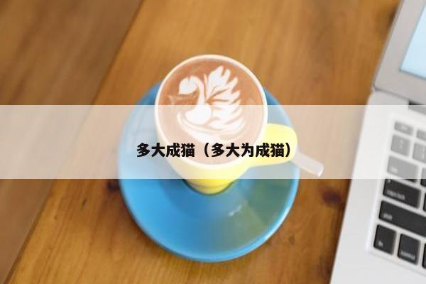 多大成猫（多大为成猫）