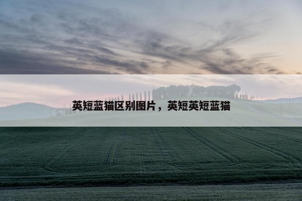 英短蓝猫区别图片，英短英短蓝猫