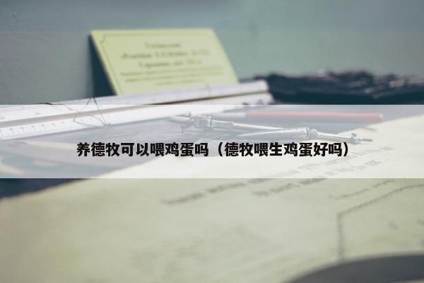 养德牧可以喂鸡蛋吗（德牧喂生鸡蛋好吗）
