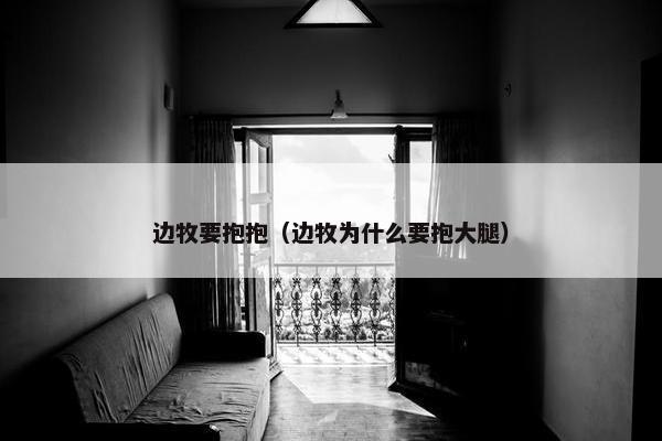 边牧要抱抱（边牧为什么要抱大腿）