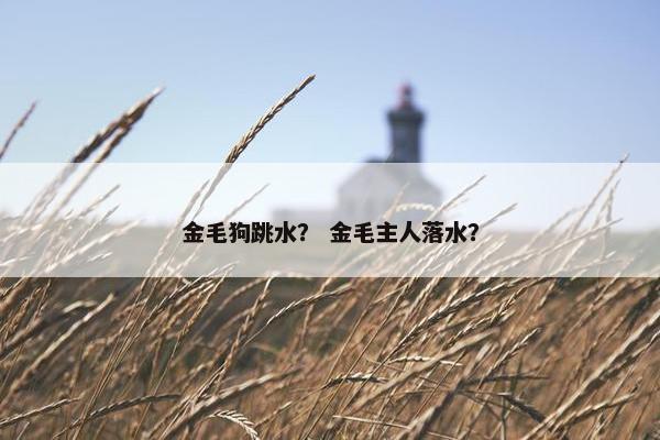 金毛狗跳水？ 金毛主人落水？