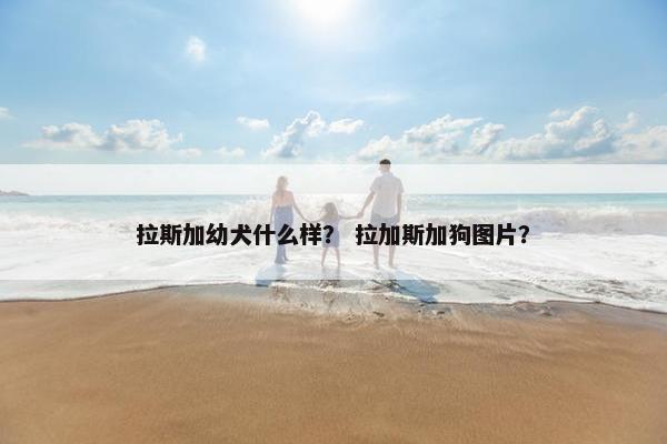 拉斯加幼犬什么样? 拉加斯加狗图片?