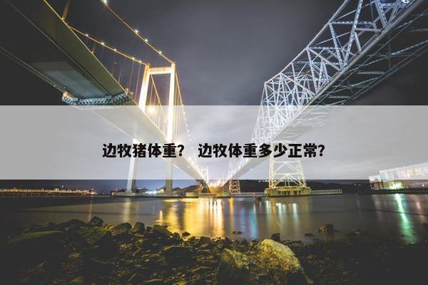 边牧猪体重？ 边牧体重多少正常？