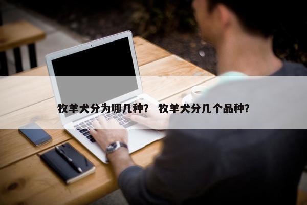 牧羊犬分为哪几种？ 牧羊犬分几个品种？