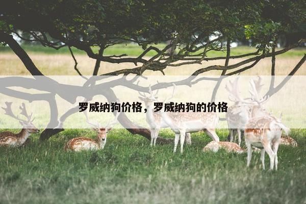 罗威纳狗价格,罗威纳狗的价格