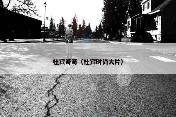 杜宾奇奇(杜宾时尚大片)