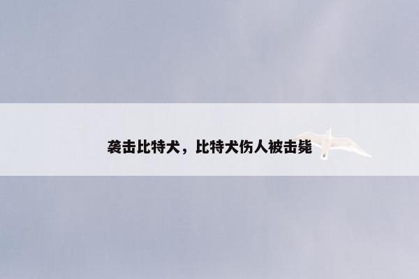 袭击比特犬，比特犬伤人被击毙
