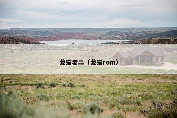 龙猫老二（龙猫rom）