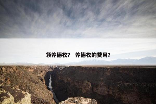 领养德牧？ 养德牧的费用？