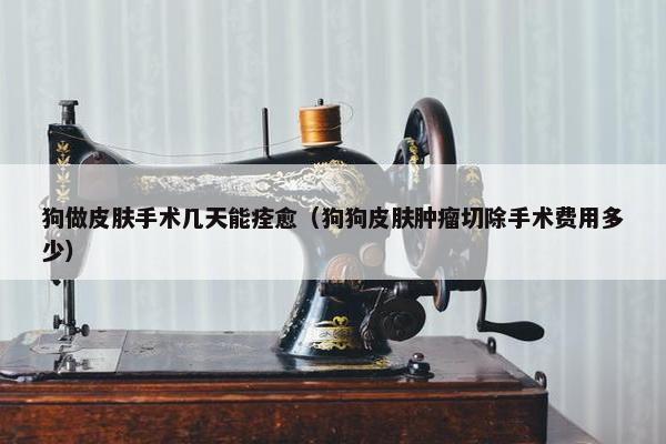 狗做皮肤手术几天能痊愈（狗狗皮肤肿瘤切除手术费用多少）