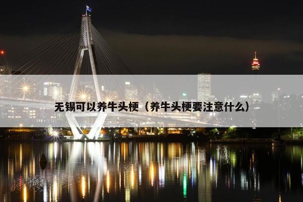 无锡可以养牛头梗（养牛头梗要注意什么）