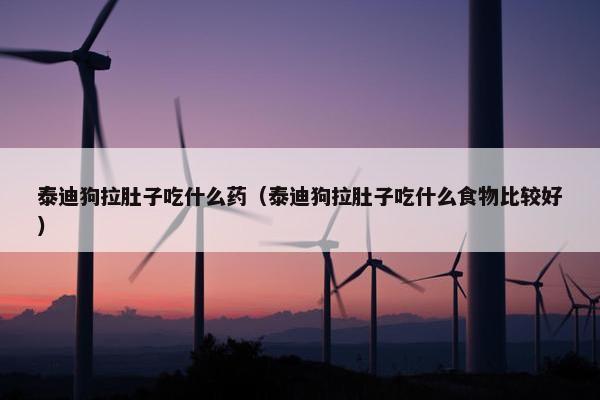 泰迪狗拉肚子吃什么药（泰迪狗拉肚子吃什么食物比较好）