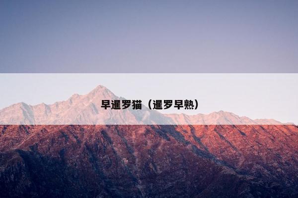 早暹罗猫（暹罗早熟）