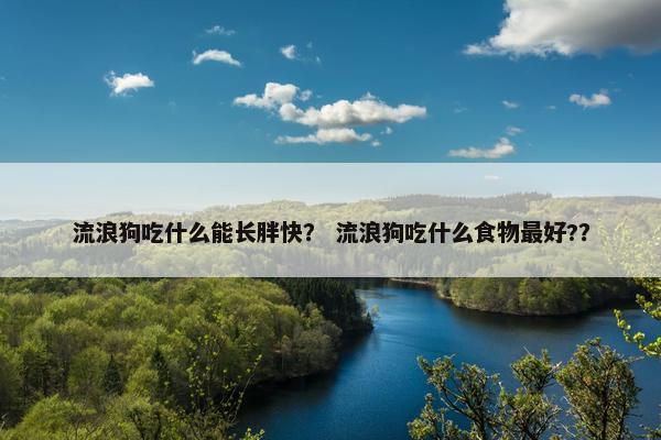 流浪狗吃什么能长胖快？ 流浪狗吃什么食物最好?？