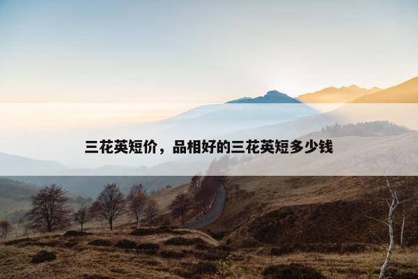 三花英短价,品相好的三花英短多少钱
