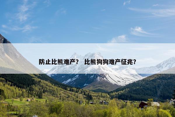 防止比熊难产？ 比熊狗狗难产征兆？
