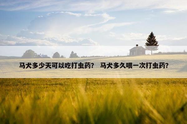 马犬多少天可以吃打虫药？ 马犬多久喂一次打虫药？