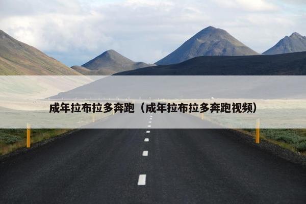成年拉布拉多奔跑（成年拉布拉多奔跑视频）