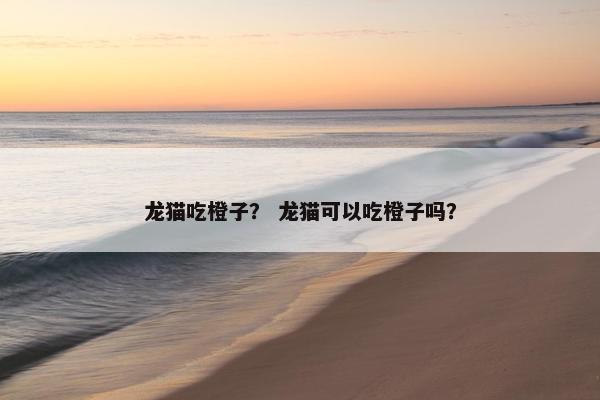 龙猫吃橙子？ 龙猫可以吃橙子吗？