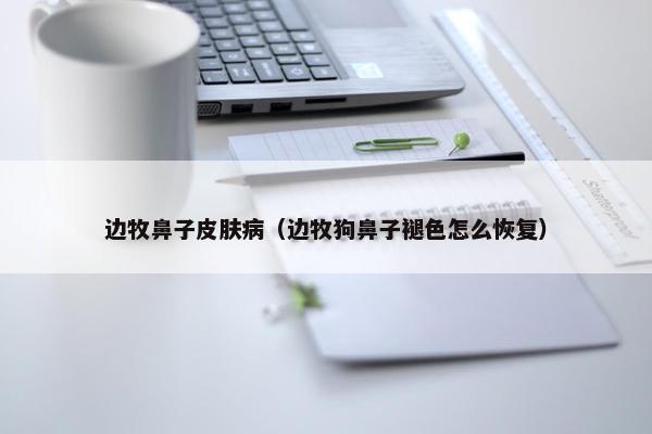 边牧鼻子皮肤病（边牧狗鼻子褪色怎么恢复）