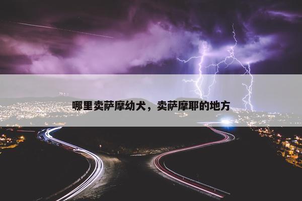 哪里卖萨摩幼犬，卖萨摩耶的地方
