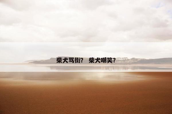 柴犬骂街？ 柴犬嘲笑？