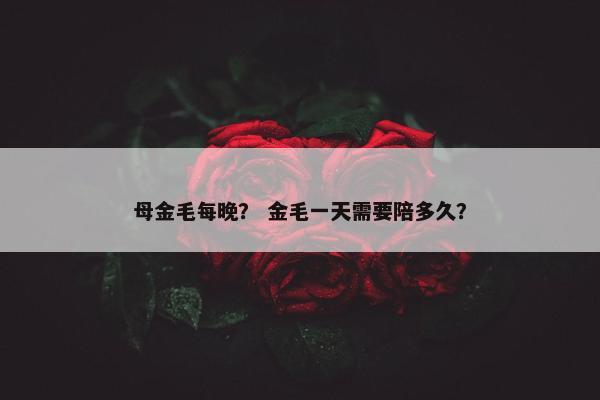 母金毛每晚？ 金毛一天需要陪多久？