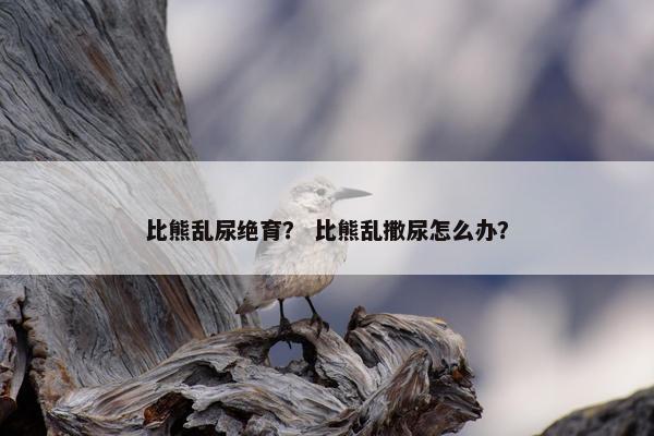 比熊乱尿绝育？ 比熊乱撒尿怎么办？