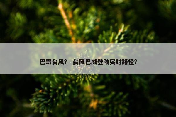 巴哥 第5页
