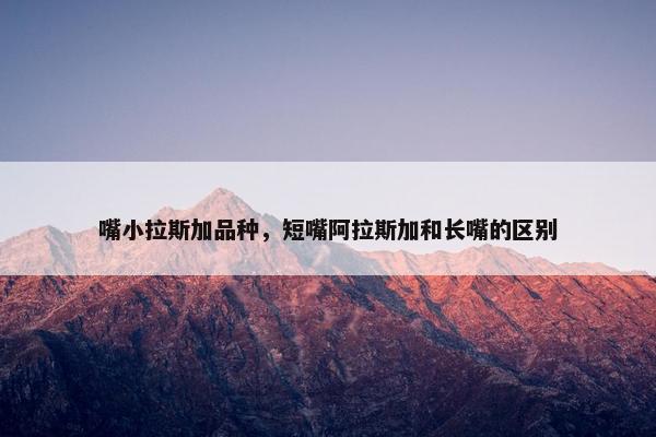 嘴小拉斯加品种，短嘴阿拉斯加和长嘴的区别