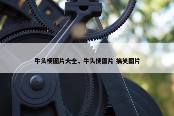 牛头梗图片大全，牛头梗图片 搞笑图片