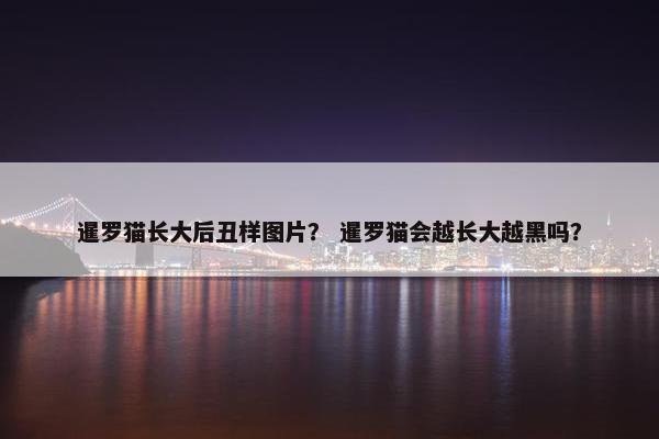 暹罗猫长大后丑样图片？ 暹罗猫会越长大越黑吗？