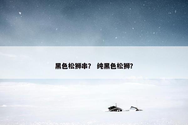 黑色松狮串？ 纯黑色松狮？