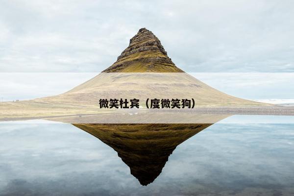 微笑杜宾（度微笑狗）