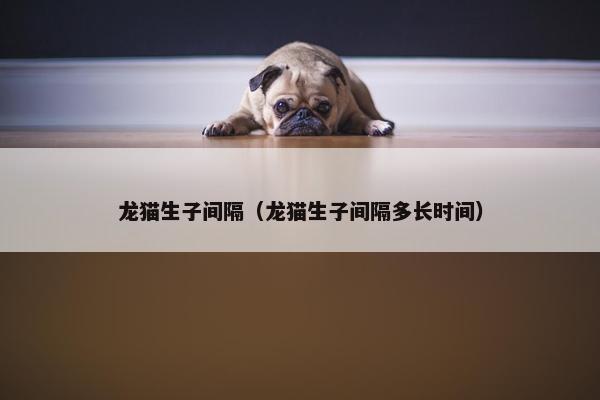 龙猫生子间隔（龙猫生子间隔多长时间）